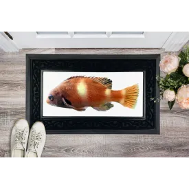 Orange Fish Sublimation Heavy Duty Door Mat