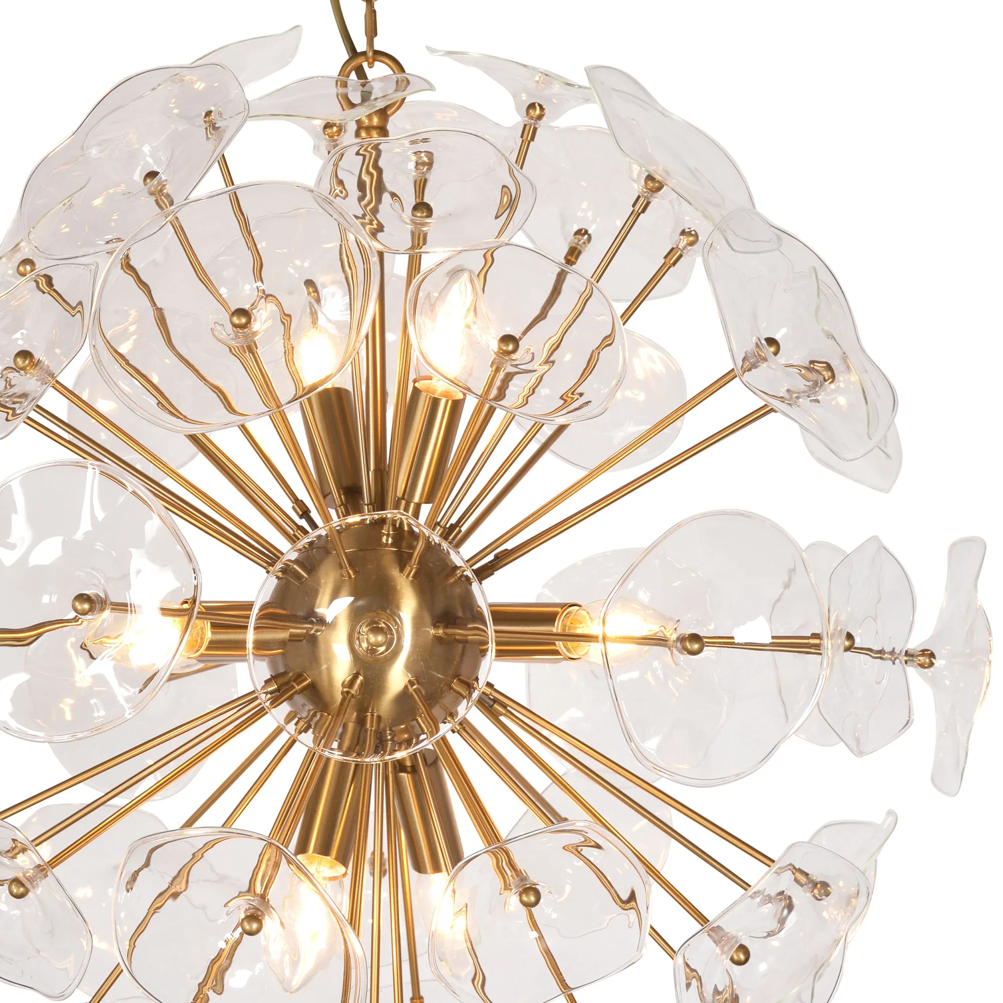 Petal Burst Pendant Light by Zentique